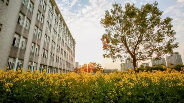 浙江兩校合併，組建“杭州大學”？浙大城市學院不太樂意