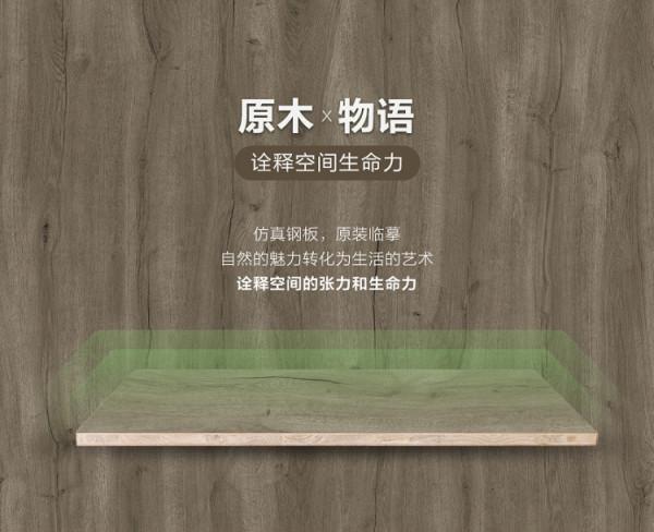 大王椰傢俱板2021全系花色煥新升級