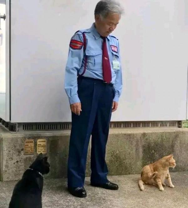 保安連續4年被貓騷擾，本以為是想求收養，瞭解意圖後被可愛到了
