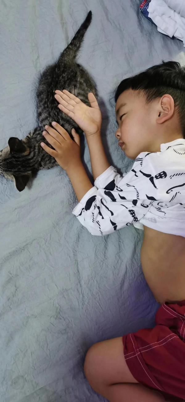 我們的毛孩子——端午 我們的毛孩子——端午