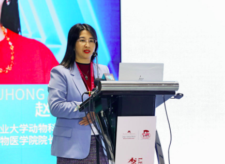 這一場國際智慧養豬落地盛宴!智盈豬場,慧贏未來 這一場國際智慧養豬落地盛宴!智盈豬場,慧贏未來