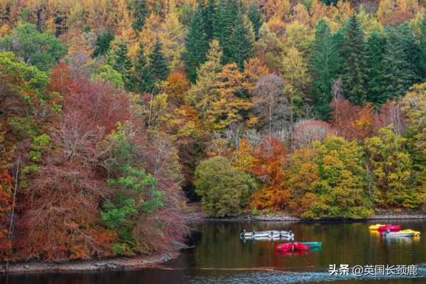 你還記得深秋英國的樣子嗎?若你還在,與你共享 你還記得深秋英國的樣子嗎?若你還在,與你共享