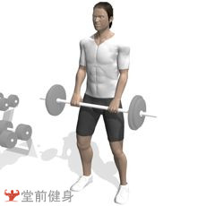 健身房一週4練健身計劃（初級）