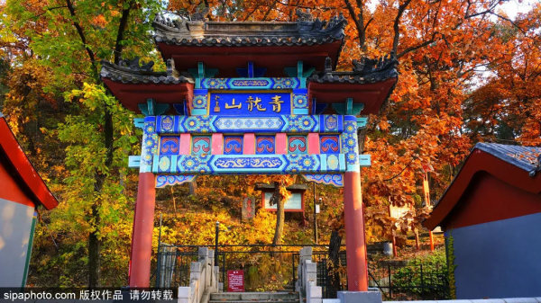 靜享安寧!北京這些寺廟裡,藏著最最最詩意的秋天 靜享安寧!北京這些寺廟裡,藏著最最最詩意的秋天