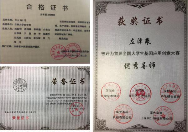 國際關注!東北“超牛”教師:研究步入世界前沿,成果登頂《自然》《科學》! 國際關注!東北“超牛”教師:研究步入世界前沿,成果登頂《自然》《科學》!