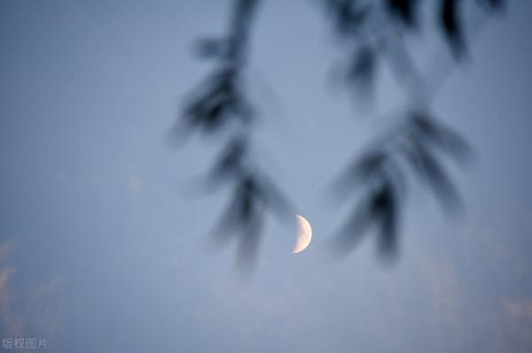 中秋美文：心月