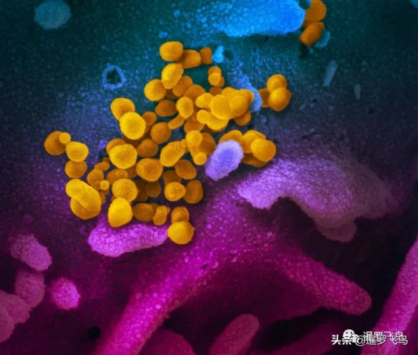 泰國叫停免隔離入境，104例奧密克戎病例確診，一旅行團25人感染