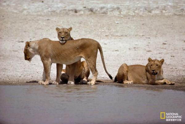 這30張圖,經典到難以超越 這30張圖,經典到難以超越