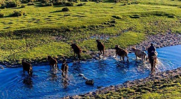 18200平方公里龐大湖泊,曾是我國邊民放牧地,現在卻成鄰國內湖 18200平方公里龐大湖泊,曾是我國邊民放牧地,現在卻成鄰國內湖