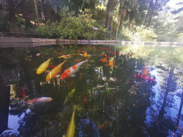 網紅“最美尼姑庵”寂照庵，我想潑你一點點冷水