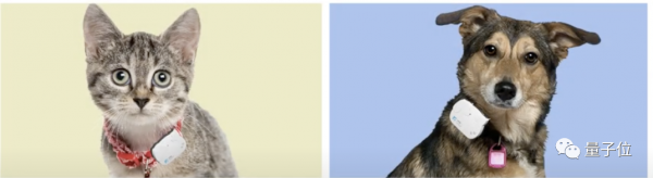 「晚報」小米 MIX FOLD 降價 4000 元/臺積電獨享蘋果 5G 晶片大單？