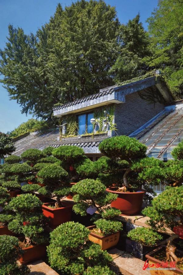 權威釋出 | 如皋水繪園免費開放？官方公告來了！