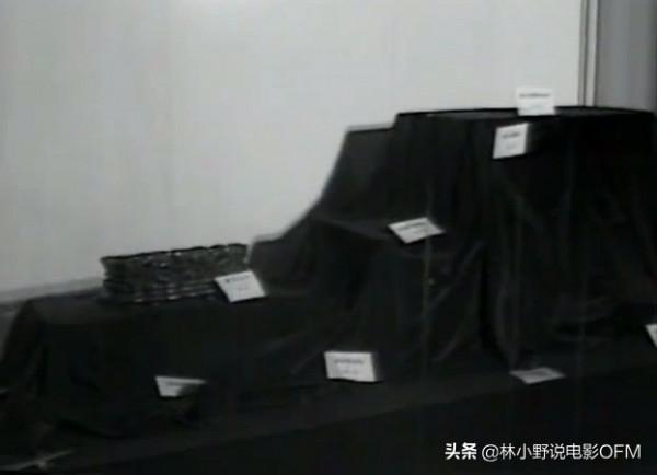 《9.18大案紀實》劉農軍到底偷走了什麼國寶？神探武和平現狀如何