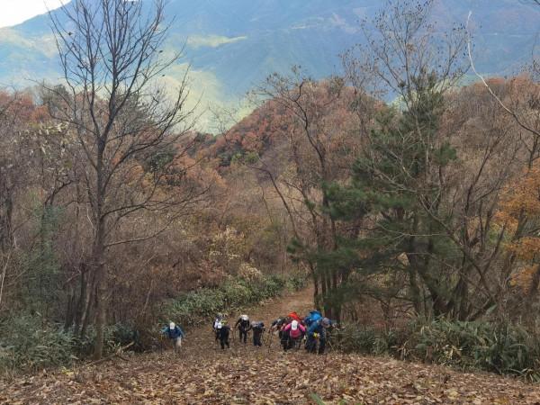 再登龍王山 安吉、臨安、寧國的交界山，海拔1587.4米，您去過嗎