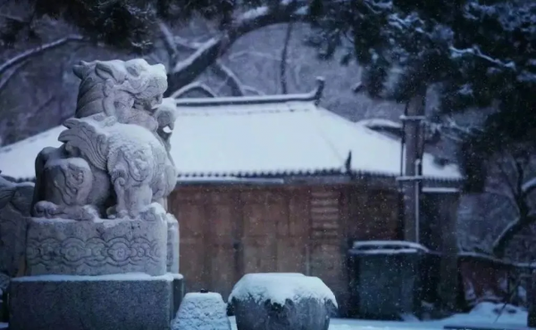 冬至——陰極之至，陽氣始生，日南至，日短之至，日影長之至