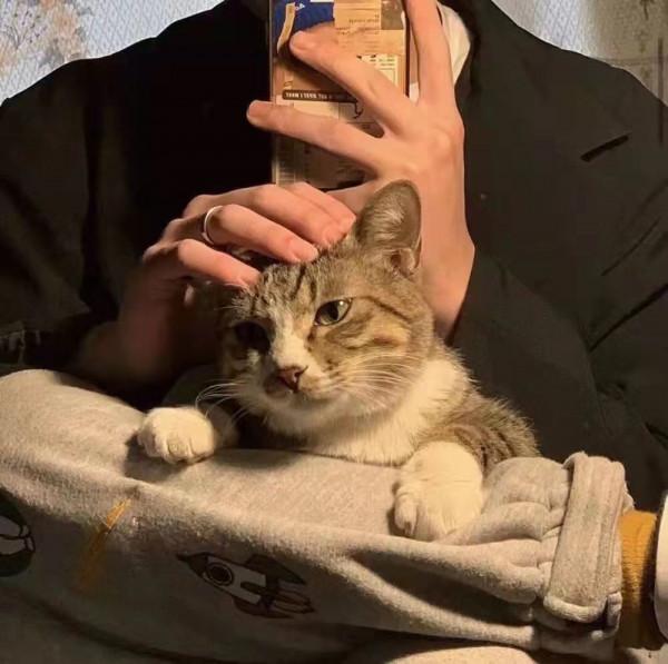 十二星座｜關於「陶白白說」的文案