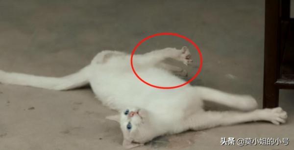 2021年豆瓣十大國產爛劇，每一部都是浪費資源，最低2.5分