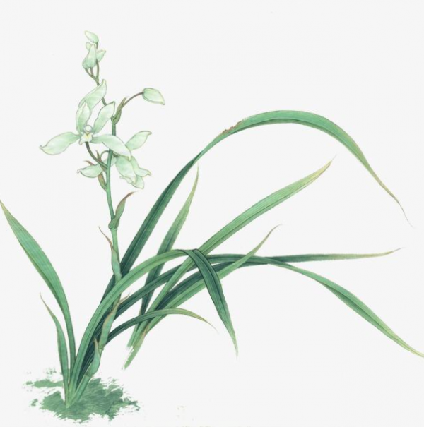 民間故事：秀才吃桃暴斃，賣桃人鋃鐺入獄，知縣：真相沒那麼簡單