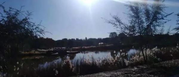 原創 | 秋日的私語-III故事集錦