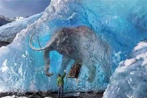 北極凍土融化，古老病菌復活多可怕？科學家：還有比這更可怕的