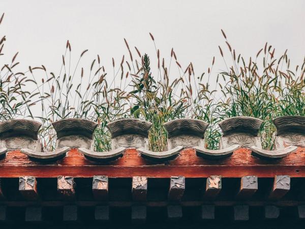 X70 Pro+對比iPhone13 Pro Max節目攝影精選