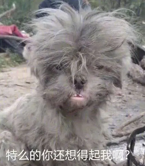 又一明星被爆塌房 好傢伙這是我今年見過最搞笑的塌房事件了吧 又一明星被爆塌房 好傢伙這是我今年見過最搞笑的塌房事件了吧