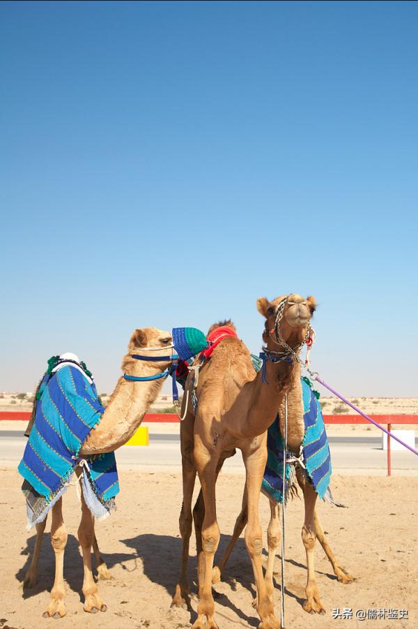 這才是卡達，誰是中東商業圈最牛的人？如此樸實無華