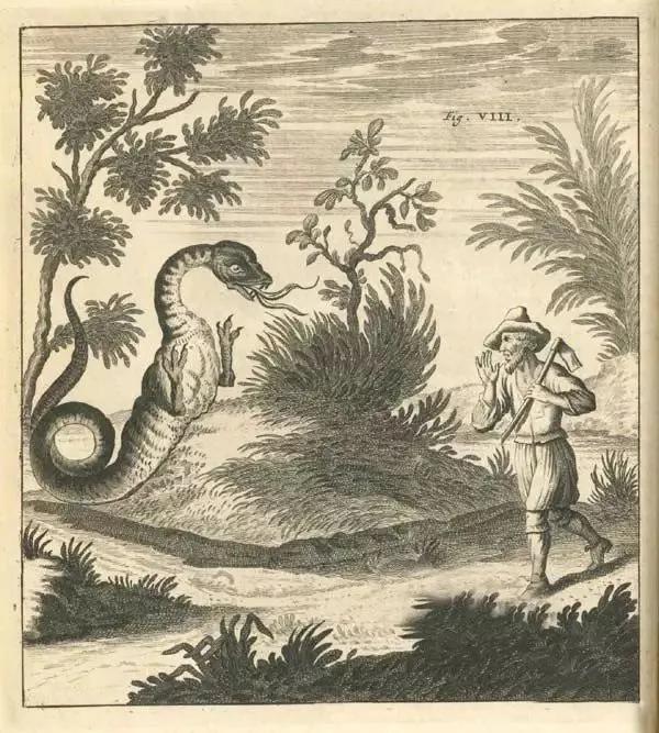 神秘生物_阿爾卑斯塔佐蠕蟲怪