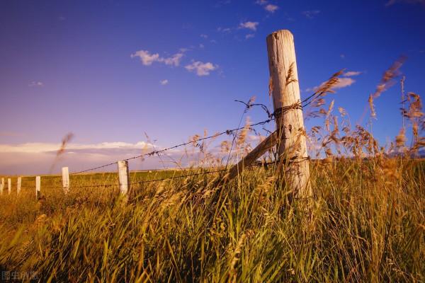 打工在外，回到農村，不要瞧不起這四個人