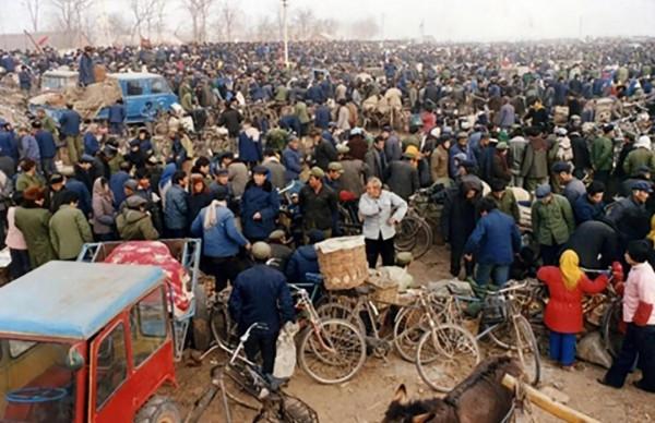 鄉村故事：鐵鎖的人生