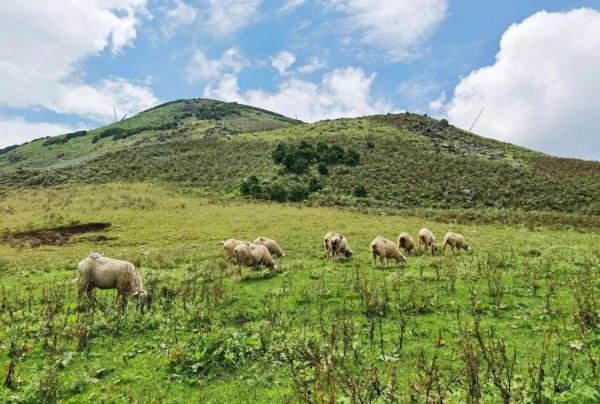 號稱雲南的小紐西蘭,小眾露營地——麼波衝 號稱雲南的小紐西蘭,小眾露營地——麼波衝