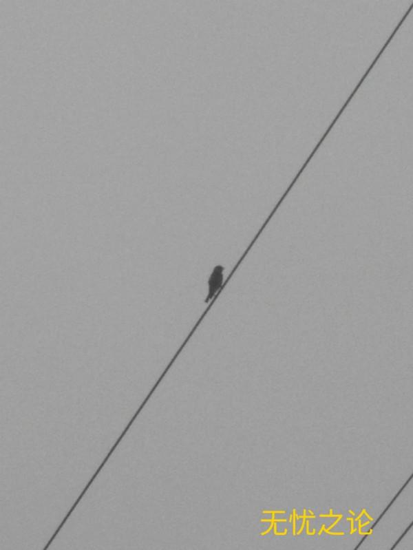 周易與素書:六爻通六章 周易與素書:六爻通六章