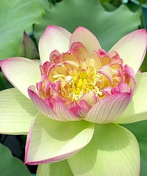 哪個時候讓你明白錢的重要性？