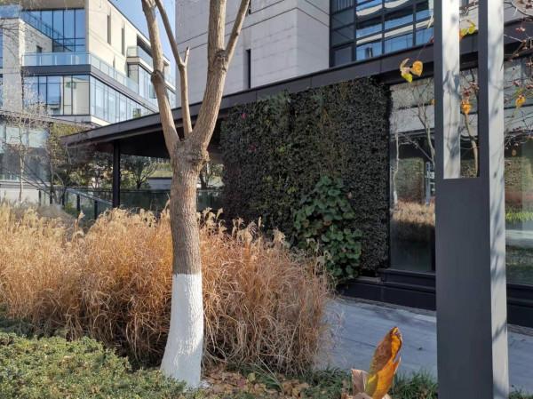 論觀賞性及經濟效果精製鋼幕牆型材顯而易見