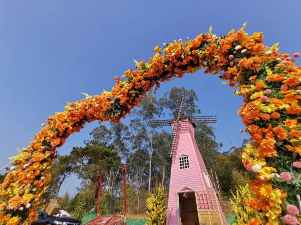 國慶去哪玩?廣東首個以萌貓為主題的景區,度假!擼貓!好開心 國慶去哪玩?廣東首個以萌貓為主題的景區,度假!擼貓!好開心