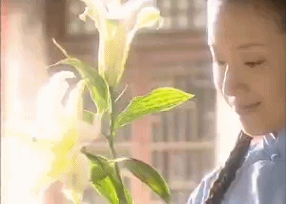 謀女郎顏值進化史：從高階臉鞏俐到甜美劉浩存，誰更勝一籌？