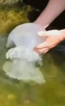 這款taptap熱榜第一的手遊,居然是3個人做出來的…… 這款taptap熱榜第一的手遊,居然是3個人做出來的……