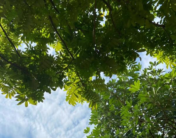 當代成年人，無心戀愛只想搞錢，12條賺錢乾貨送你