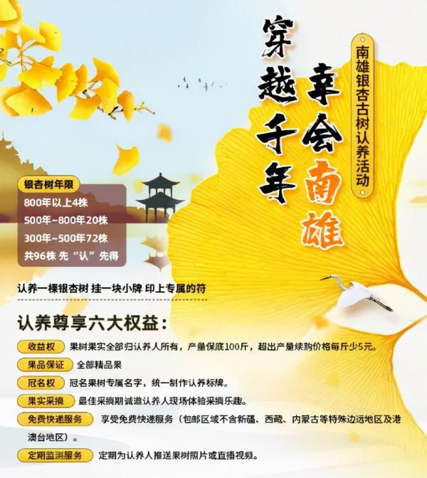 賣出去才是真豐收!一畝田與全國農民慶豐收 創新舉措助力鄉村振興 賣出去才是真豐收!一畝田與全國農民慶豐收 創新舉措助力鄉村振興