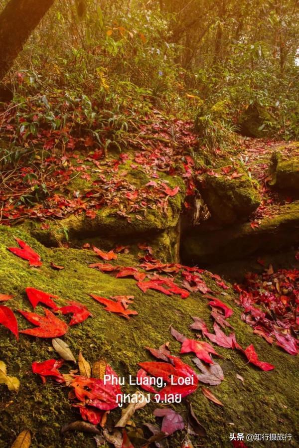 泰國登高望遠8大首選地，2022年爭取有機會就去爬山吧