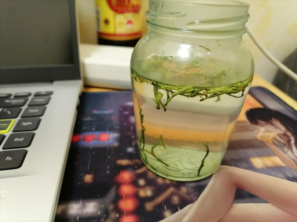 晚上喝茶到底會不會影響睡眠？