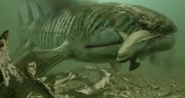 肉鰭魚：人類最該感謝的魚，3.6億年前的某天，它決定登上陸地