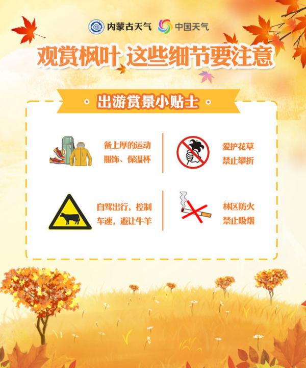 內蒙古烏旦塔拉:“楓”光無限好 賞“葉”正當時 內蒙古烏旦塔拉:“楓”光無限好 賞“葉”正當時