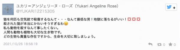 日本男3年虐殺近100只貓，被捕後毫無悔意：控制不住虐貓的愉悅