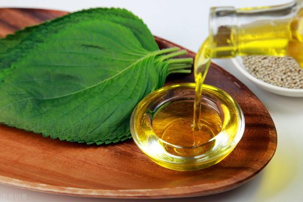 這樣的人生七味:油、鹽、柴、米、醬、醋、茶 這樣的人生七味:油、鹽、柴、米、醬、醋、茶