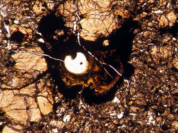 提森特（Tissint）火星隕石薄片