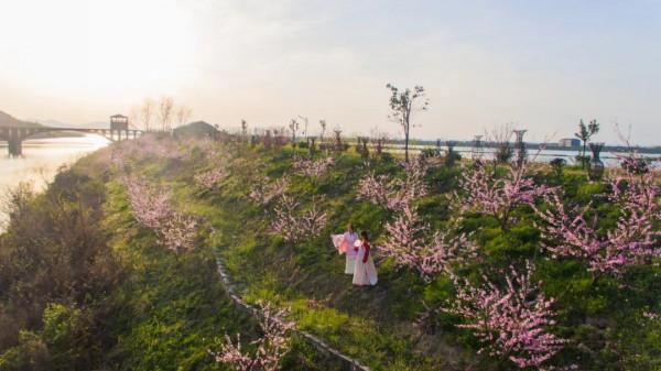 西瓜香瓜桃子枇杷獼猴桃，|| 是瓜果飄香的豔洲