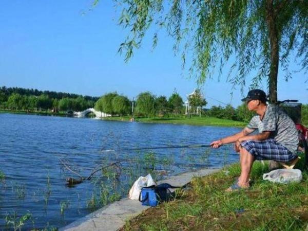 不愧是20年的老釣魚人了,這四點釣鯽技巧,用了就輕鬆拉大鯽 不愧是20年的老釣魚人了,這四點釣鯽技巧,用了就輕鬆拉大鯽