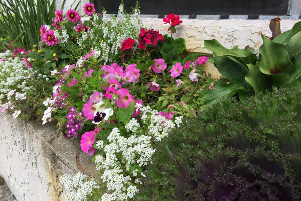 10個打造秋季花園的大膽創意，是時候讓五顏六色的花卉綻放啦