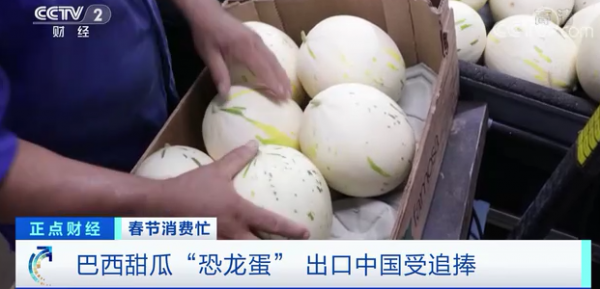 &OpenCurlyDoubleQuote;恐龍蛋&rdquo;火了！漂洋過海來到中國，你吃過嗎？